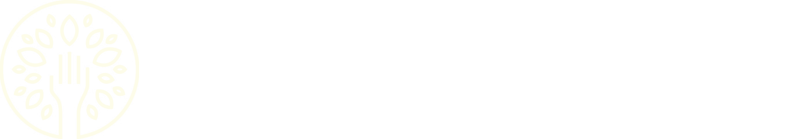Pravilo.lt